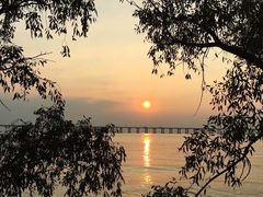 -宝安西湾红树林湿地公园