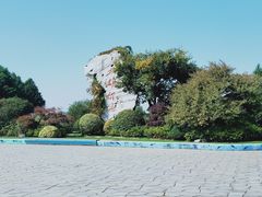 -贡湖湾湿地公园