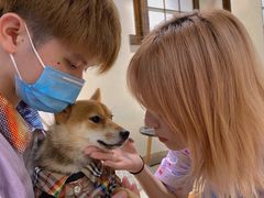 -逗柴咖啡屋·狗咖猫咖宠物桌游