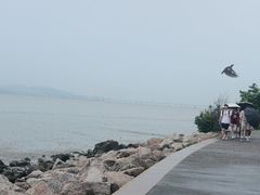 -深圳湾公园(南山区)