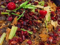 -老板恋上鱼(恒隆广场店)