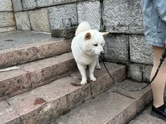 -文昌阁
