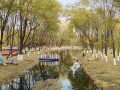 -长白岛森林公园