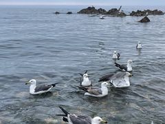 -银沙滩浴场