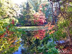 景点-北海道厅旧本厅舍(旧本庁舎)