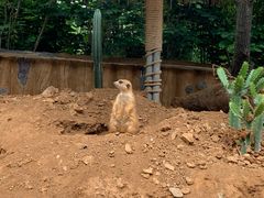 -青岛森林野生动物世界