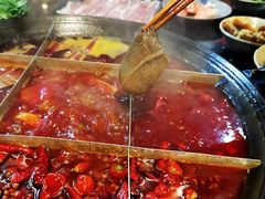 微辣锅底-肥龙火锅(南坪店)