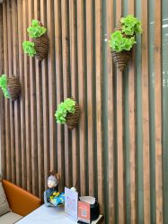 -芳朵美容养生SPA