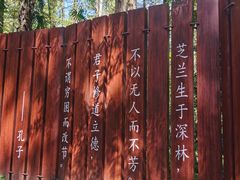 -东平国家森林公园