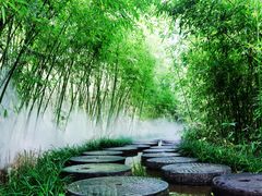 -雪山彩虹谷景区