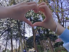 -南山植物园