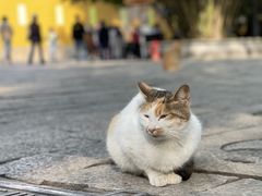-西园寺