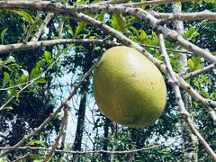 -七仙岭温泉国家森林公园