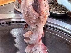 -老刘生态大鱼坊铁锅炖鱼(赛马场店)