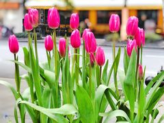 -Wagas沃歌斯(大学路店)