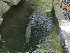 -青青世界