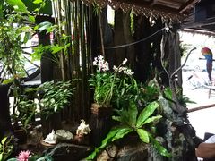 -自然餐厅(Phuket)