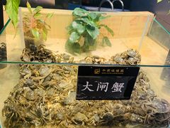 -千家粗粮王(MOMOPARK店)