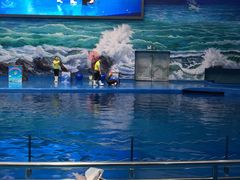 -多彩贵州城极地海洋世界