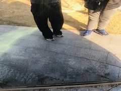 -白塘生态植物园