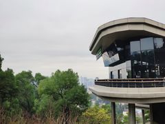 -金鸡山公园