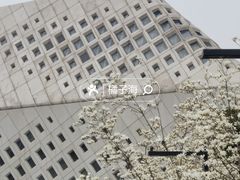 -南京眼步行桥