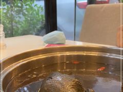 -太婆天府山珍酒楼(亚运村店)