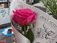-FEI FEI FLOWER鲜花店·气球派对·宝宝宴布置(虹口德必运动Loft店)