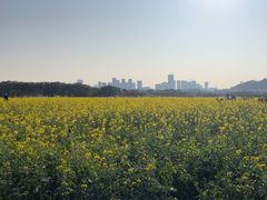 -光明小镇欢乐田园