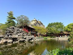 -顺峰山公园