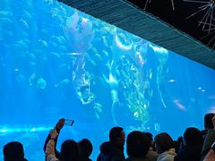 -华夏文旅西安度假区