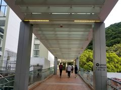 -香港大学