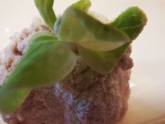 -亮宝楼国宴+文化陕菜