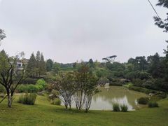 -铁山坪森林公园