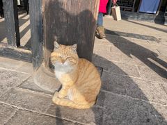 -平遥县衙