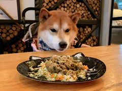-the rug 飞毯 (朝阳公园店)