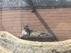 -青藏高原野生动物园