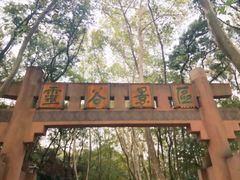 -灵谷景区
