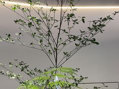 -fishtank鱼缸咖啡(三山街店)