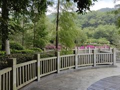 -大屏嶂森林公园