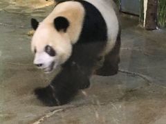 -海南热带野生动植物园