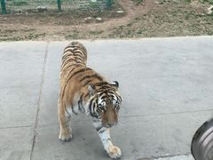 -西安秦岭野生动物园