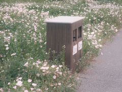 -洋湖国家湿地公园