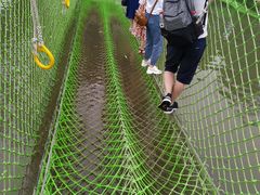-白洋淀景区