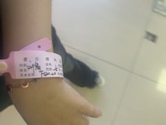 -武汉大学附属爱尔眼科医院(湖北总院)