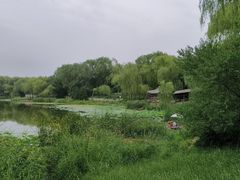 -北坞公园