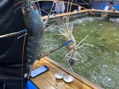 -桃源乐钓虾馆(松岗概念店)