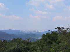 -中国茶叶博物馆(双峰馆区)