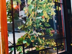 -回头客餐厅·家的味道农家菜·虹鳟鱼·铁锅炖(雁栖湖店)