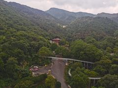 -木兰云雾山